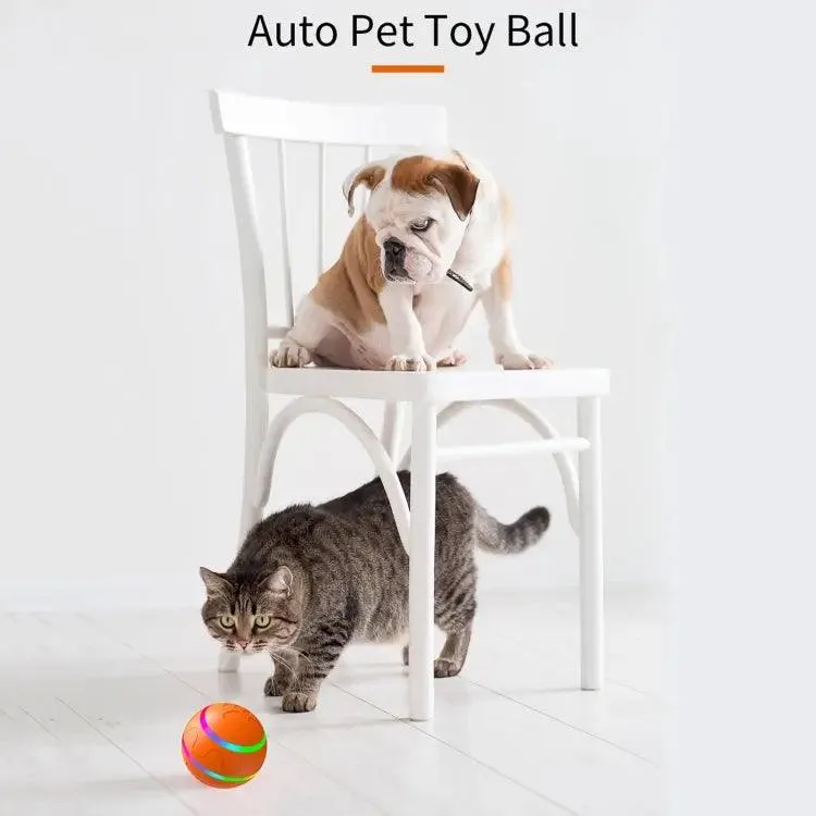 Interactive Intelligent Luminous Cat Toy