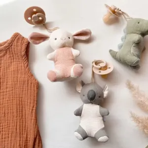 Itzy Ritzy Pacifier & Stuffed Animal Bitzy Pal