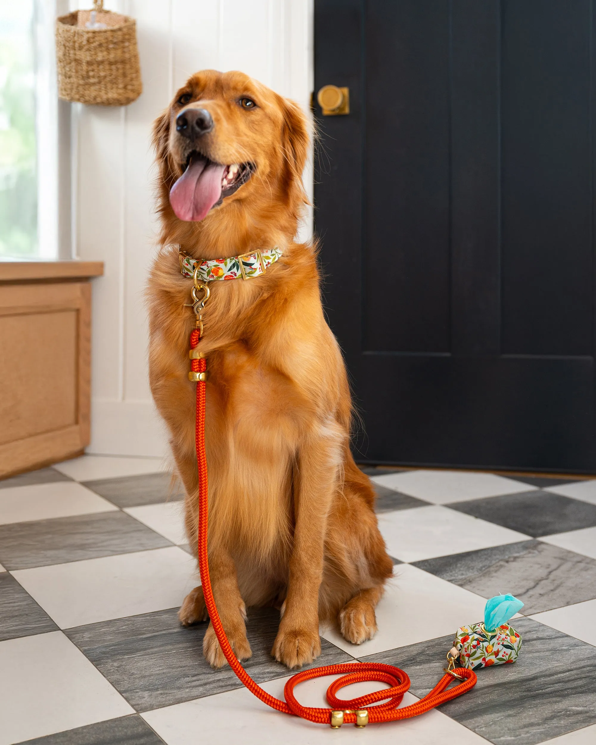 PF x The Foggy Dog - Marine Rope Dog Leash - Cider