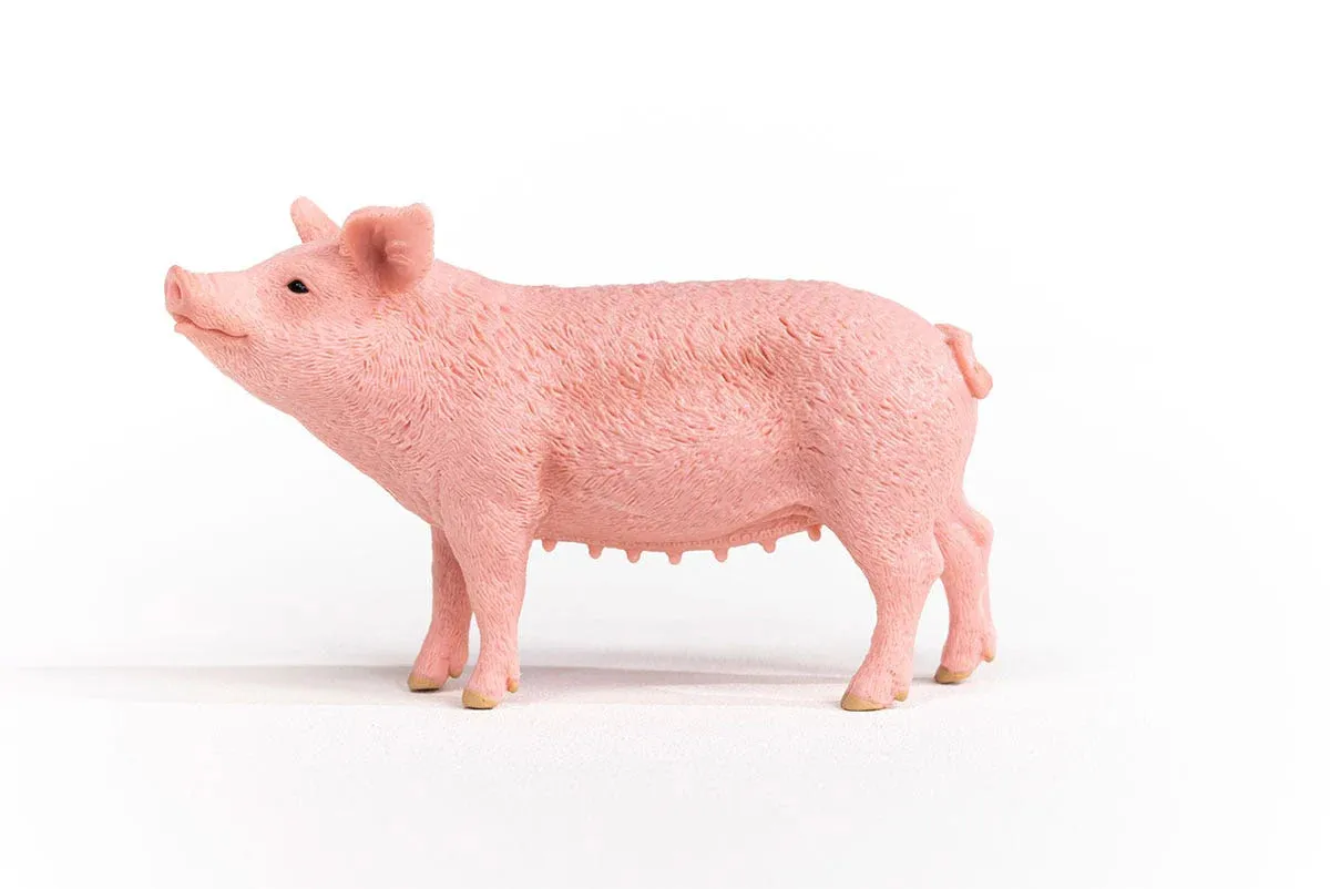 Toy | Pig
