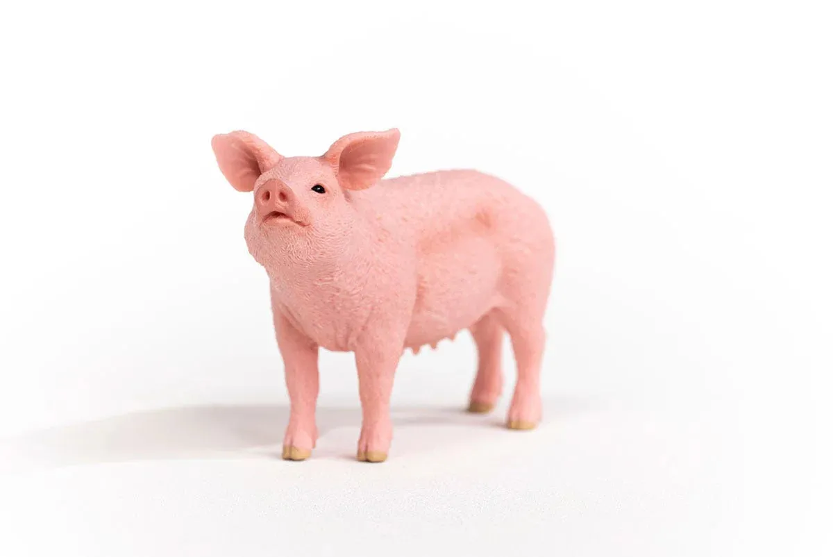 Toy | Pig